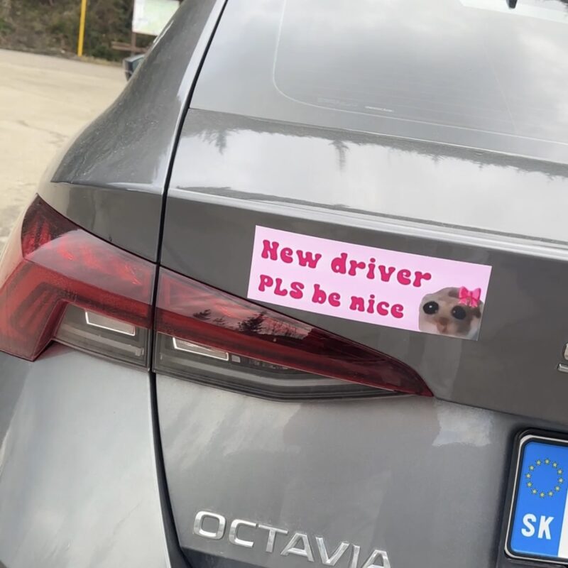 New Driver - PLS be nice - Magnetka - Image 2